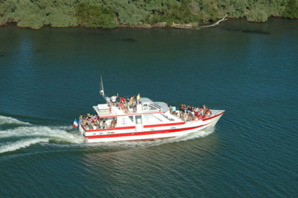 Vedette "Les Quatre Maries" aux Saintes‑Maries‑de‑la‑Mer — promenade commentée de 1 h 30 sur la mer et le Petit Rhône, avec observation de taureaux, chevaux et paysages sauvages de Camargue.