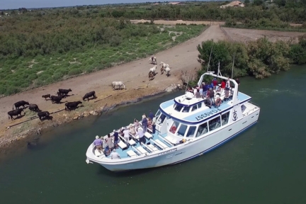 Vedette "Le Camargue" aux Saintes‑Maries‑de‑la‑Mer, croisière commentée de 1 h 30 sur le Petit Rhône jusqu’au Bac du Sauvage, à la découverte de la faune, de la flore et des légendes camarguaises.