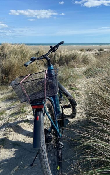 Le Vélo Saintois, location de vélos et VAE au cœur des Saintes‑Maries‑de‑la‑Mer, propose circuits en bord de Réserve nationale de Camargue, VTT, VTC, vélos électriques et accessoires pour toute la famille.