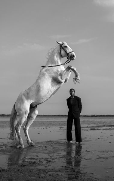 Lucidophoto, studio-photo et organisateur de workshops photo en Camargue, spécialisé dans les portraits, reportage hôtelier, gastronomie et paysages naturels, entre chevaux, taureaux et traditions.