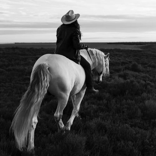 Les Cabanes de Cacharel aux Saintes‑Maries‑de‑la‑Mer : centre équestre en pleine réserve naturelle de Camargue, promenades à cheval ou en calèche, initiation au tri du bétail et immersion authentique dans l’univers des gardians.