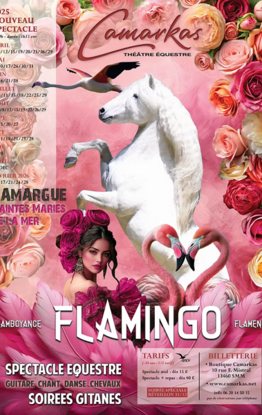 Spectacle équestre Camarkas aux Saintes‑Maries‑de‑la‑Mer : fusion envoûtante de danse flamenco, magie, chant gitan et chevaux dans un décor baroque intimiste en Camargue.