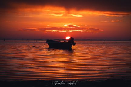 Jonathan Aubert, photographe professionnel basé aux Saintes‑Maries‑de‑la‑Mer, spécialisé en portraits, évènements (mariage, baptême, EVJF) et photographie de nature (flamants roses, chevaux, paysages camarguais).